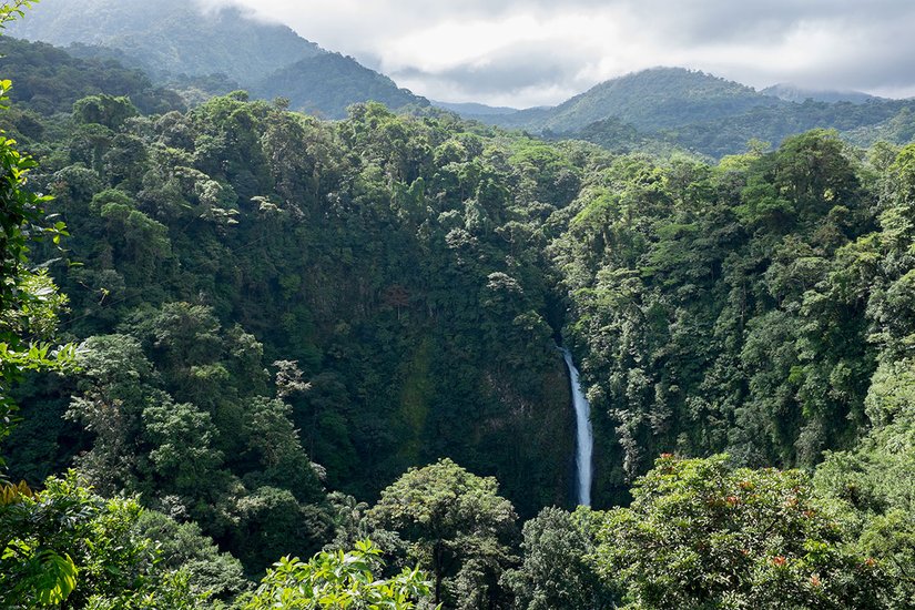 Illustrative image of Panama