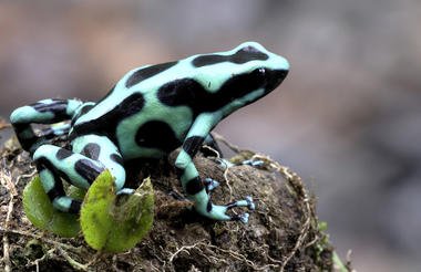 Foto de Costa Rica
