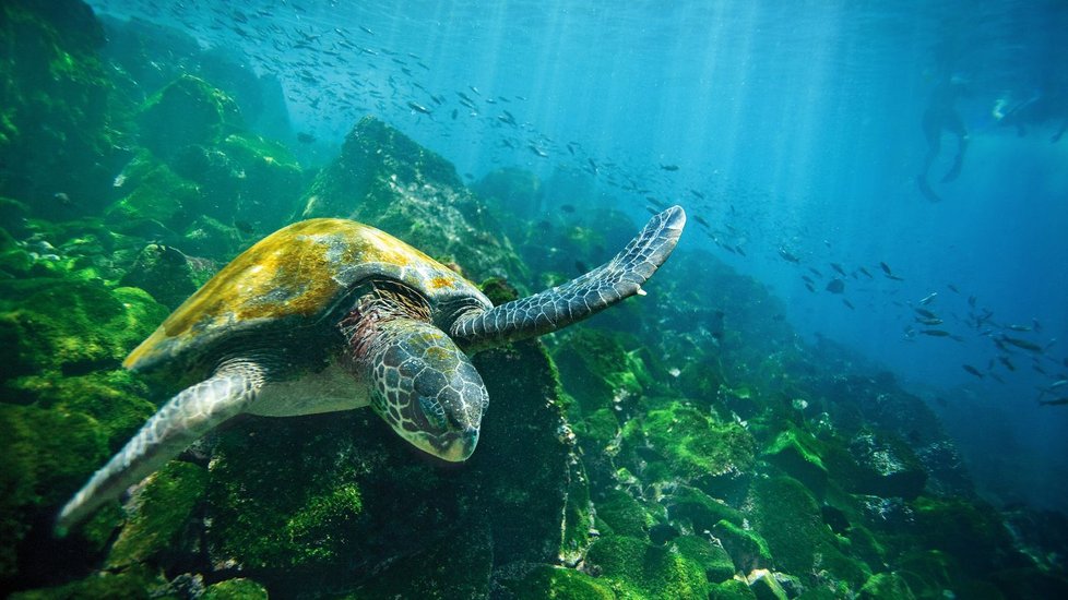 Foto de Ecuador